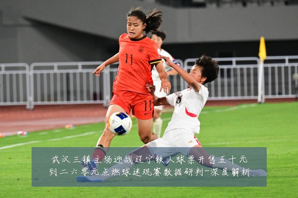 武汉三镇主场迎战辽宁铁人球票开售五十元到二六零元点燃球迷观赛数据研判-深度解析